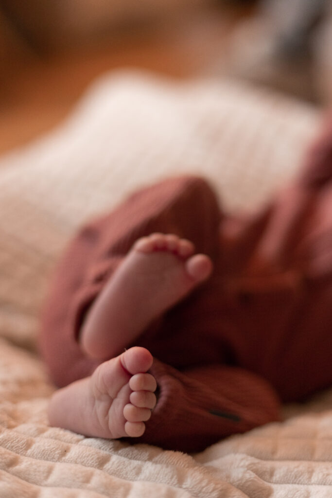 Newbornshoot-harderwijk